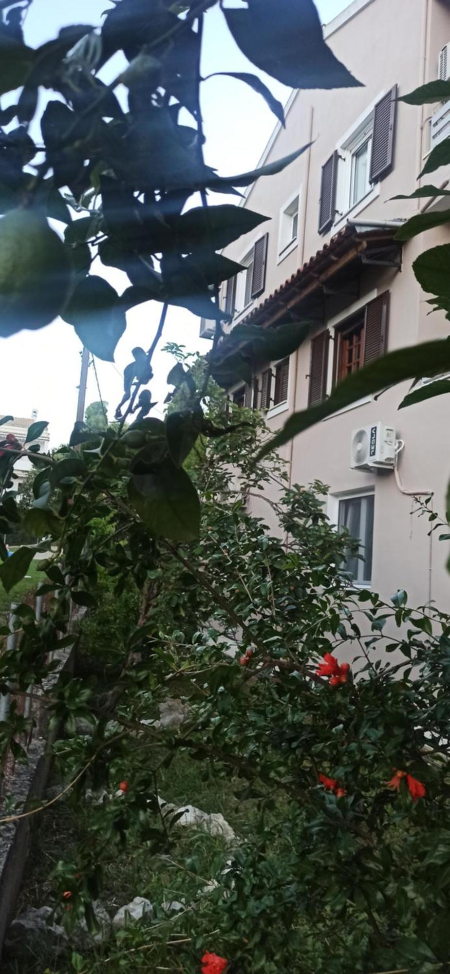 Efi House Appartement Alepou