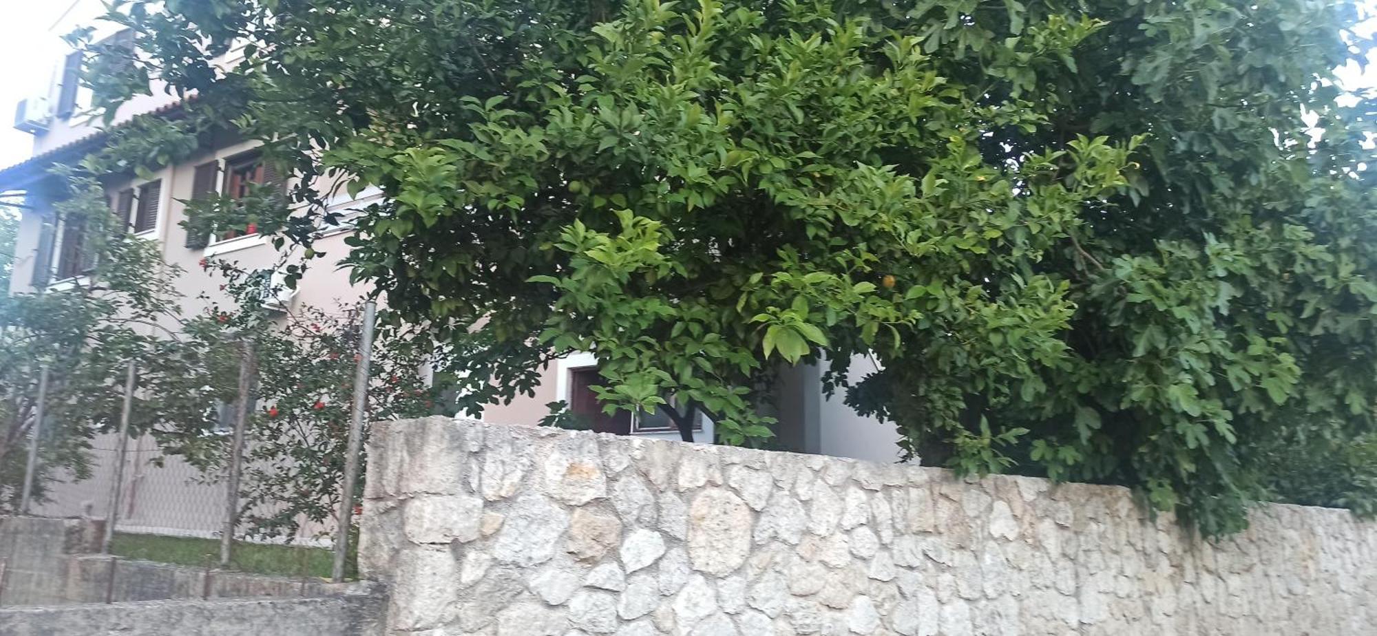 Efi House * Alepou